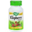 Nature s Way Red Raspberry Leaves - 100 Capsules on Sale