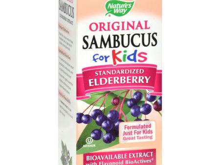 Nature s Way Original Sambucus For Kids - Standardized Elderberry - 4 Fl Oz Online Sale