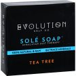 Evolution Salt Bath Soap - Sole - Tea Tree - 4.5 Oz Online