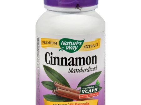 Nature s Way Cinnamon Standardized - 120 Vcaps For Cheap