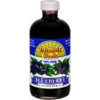 Dynamic Health Blueberry Juice Concentrate - 8 Fl Oz For Cheap