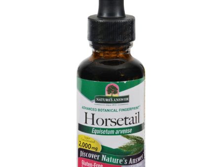 Nature s Answer Horsetail Herb - 1 Fl Oz Online Hot Sale