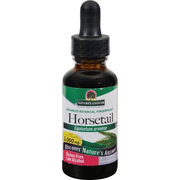 Nature s Answer Horsetail Herb - 1 Fl Oz Online Hot Sale