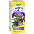 Nature s Way Sambucus Immune Syrup - 4 Fl Oz Hot on Sale