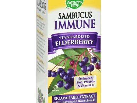 Nature s Way Sambucus Immune Syrup - 4 Fl Oz Hot on Sale