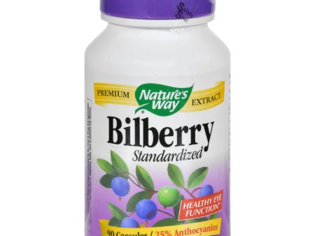 Nature s Way Bilberry Standardized - 80 Mg - 90 Capsules Hot on Sale