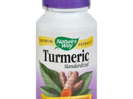 Nature s Way Turmeric Standardized - 60 Tablets Online Hot Sale