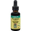 Nature s Answer Yellowdock Root - 1 Fl Oz Fashion