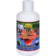 Dynamic Health Camu-camu Juice Blend Acai And Mangosteen - 32 Fl Oz Online Hot Sale