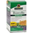 Nature s Answer Boswellia Extract - 90 Vegetarian Capsules For Cheap