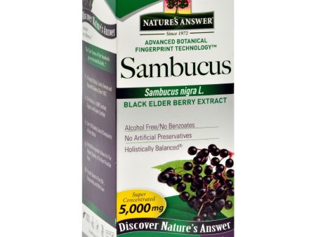 Nature s Answer Sambucus Nigra Black Elder Berry Extract - 4 Fl Oz Hot on Sale