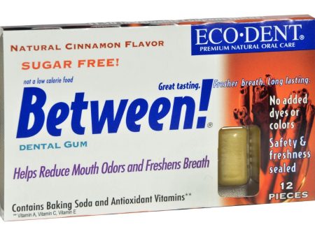 Eco-dent Between Dental Gum - Cinnamon - Case Of 12 - 12 Pack Online Hot Sale